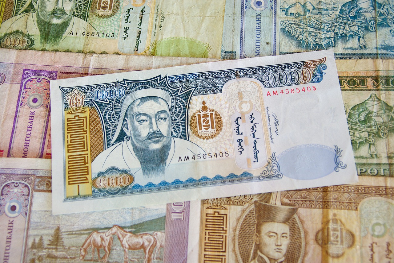 大乐透今日最新晒票，彩票背后的梦想与期待之旅
