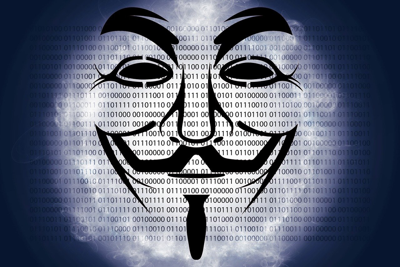 四虎最新动态与观察，揭秘最新消息与深度分析