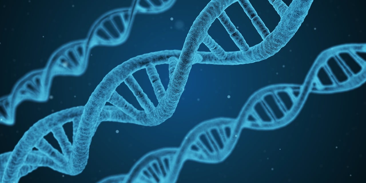 美国最新研发疫苗引领全球健康新里程碑