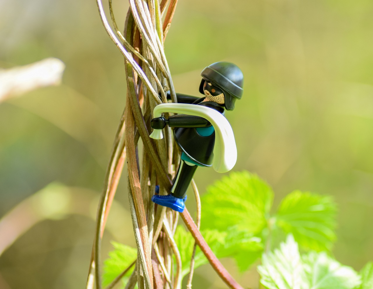 炉石苔丝贼最新动态与深度解析揭秘