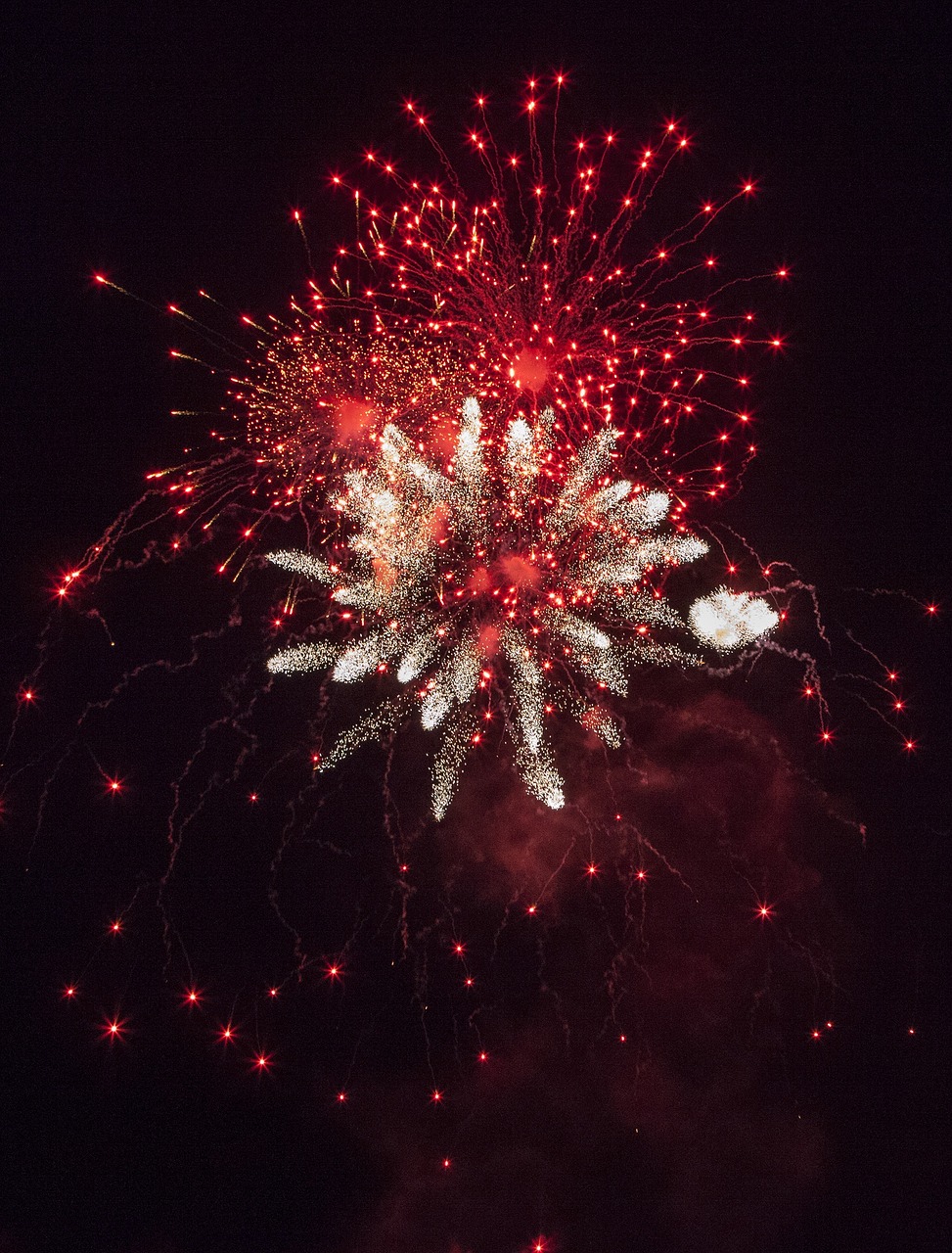 最新双节快乐视频，节日喜悦与温馨的庆祝时刻