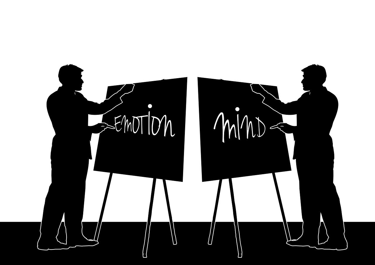 管清友最新文章，经济新常态下的挑战与机遇解析