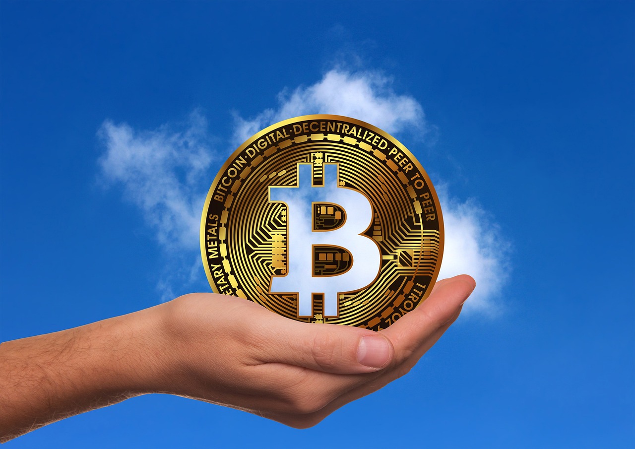 山西猪肉价格最新行情分析与趋势预测