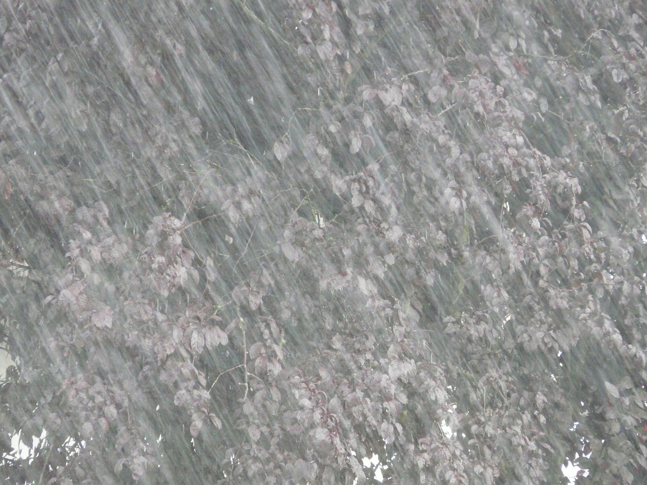 桂林大暴雨实时更新，最新情况报告