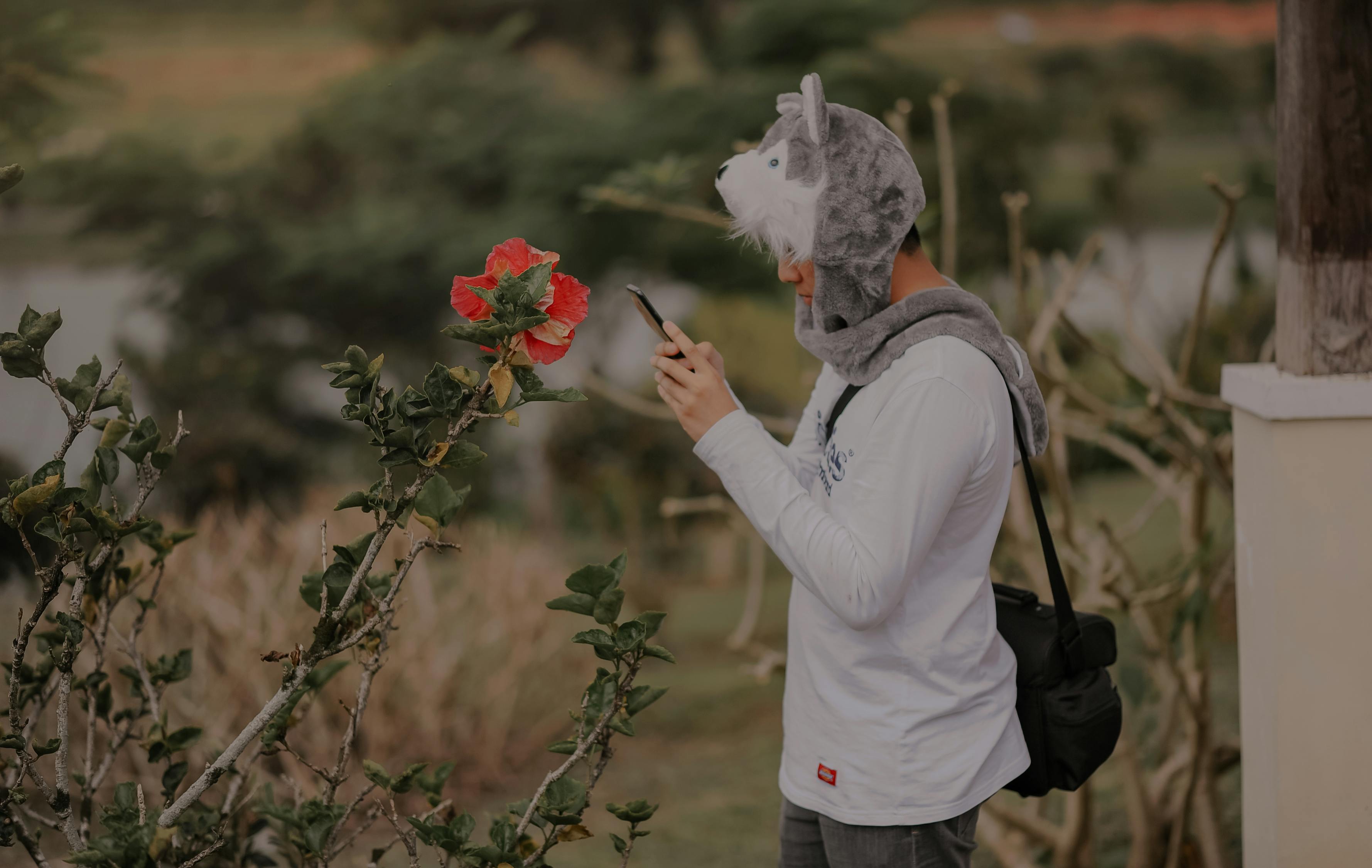三行情书献给父母，深深的爱与感激
