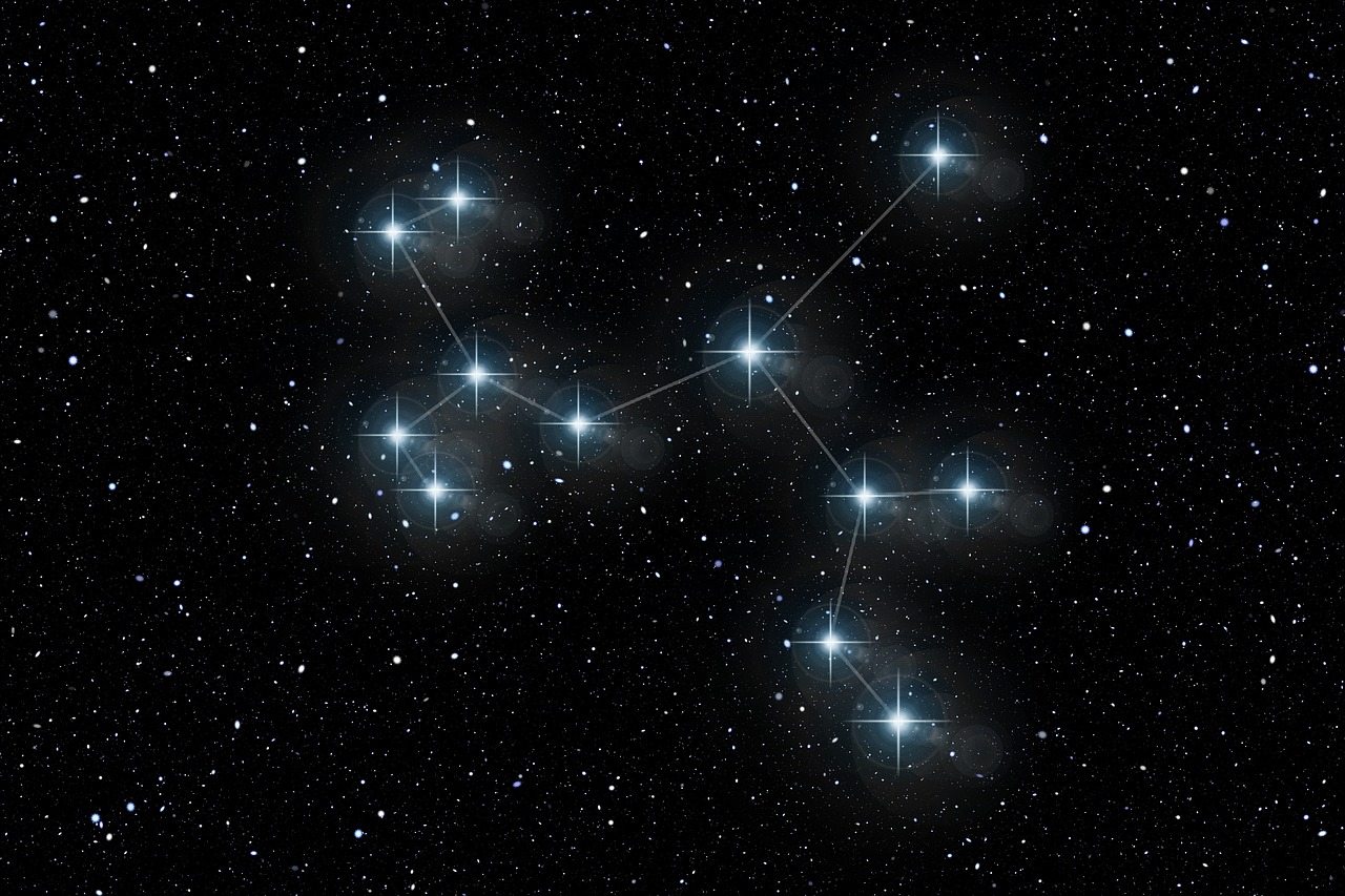 五月荧屏盛宴，金太狼的幸福生活璀璨明星阵容一览